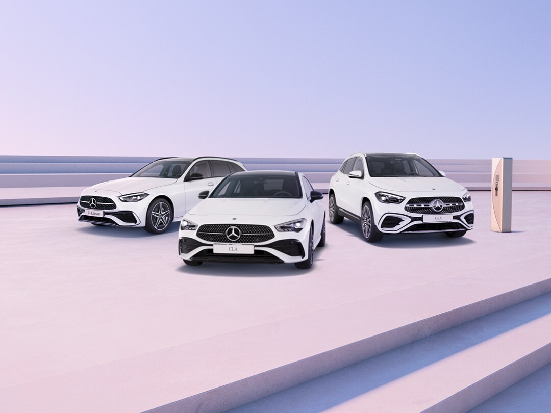 Ontdek onze Bridging Solution.