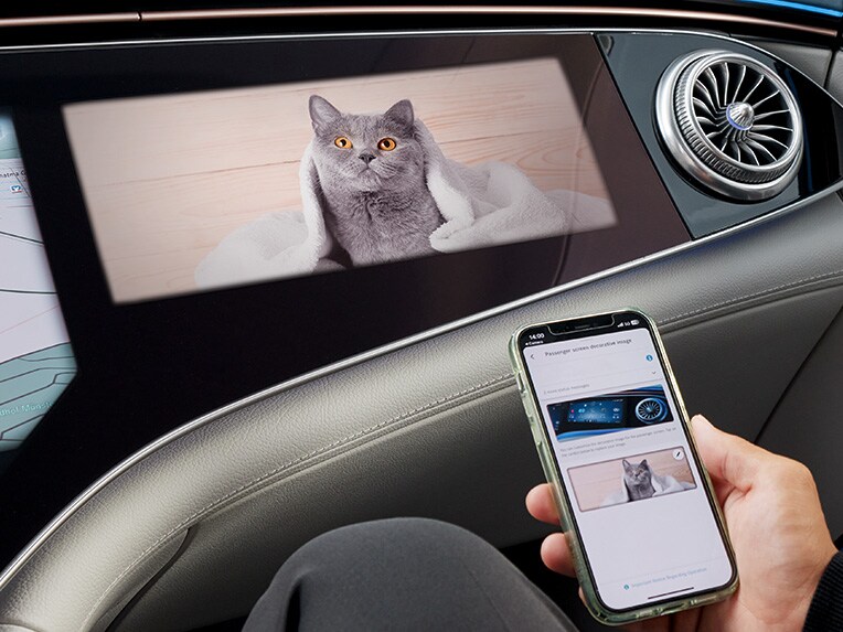 Persoonlijke sierafbeelding in een Mercedes-Benz.